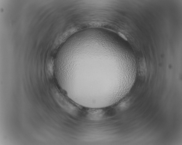 X0000056030334200509021828