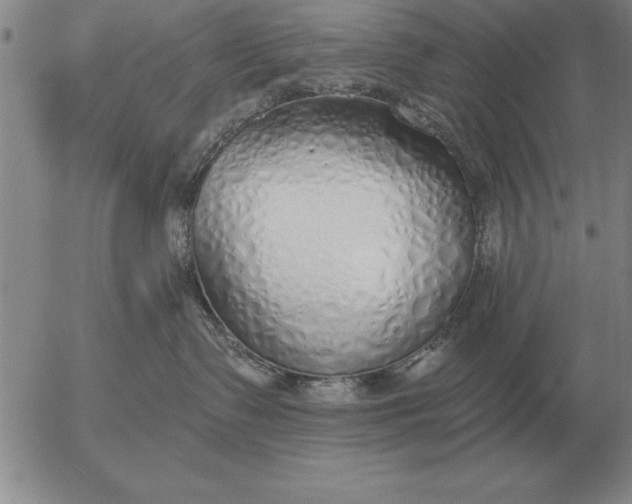 X0000056030335200509021828