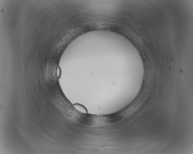 X0000056030336200509021828