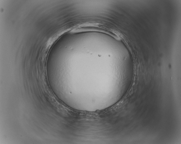 X0000056030337200509021827