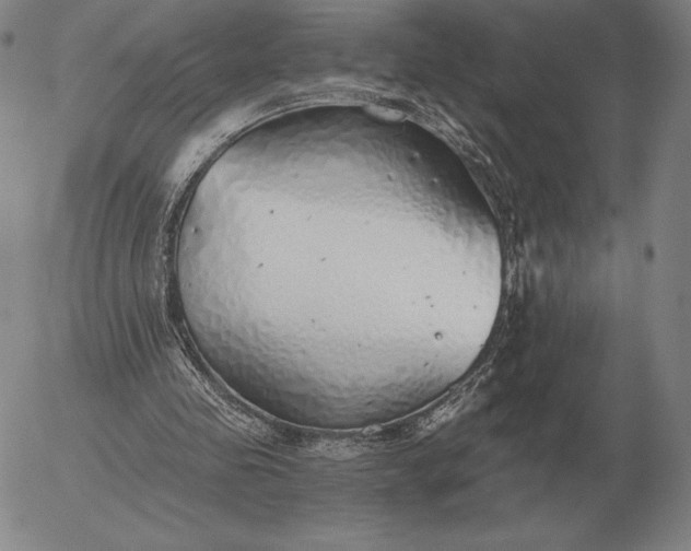 X0000056030341200509021827