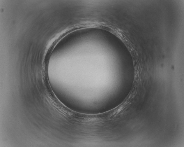 X0000056030342200509021827