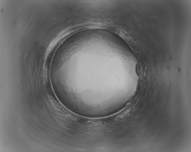 X0000056030343200509021827