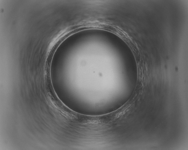 X0000056030344200509021827