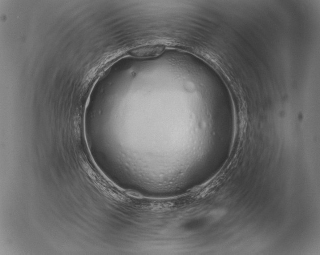 X0000056030345200509021827