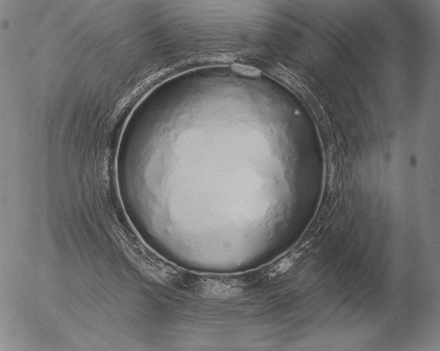 X0000056030346200509021827