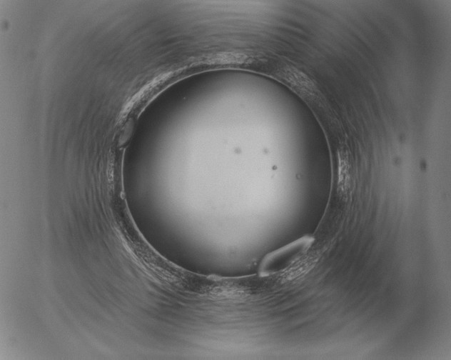 X0000056030348200509021827