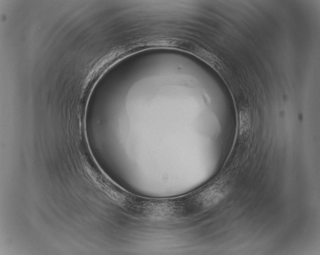 X0000056030349200509021827