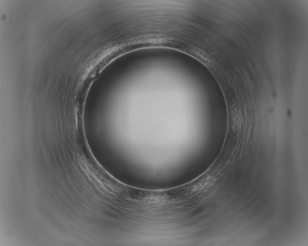 X0000056030350200509021827