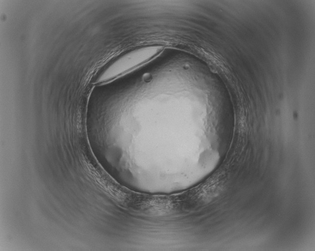 X0000056030353200509021828