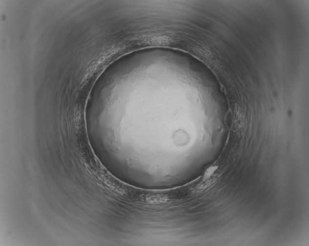 X0000056030355200509021828