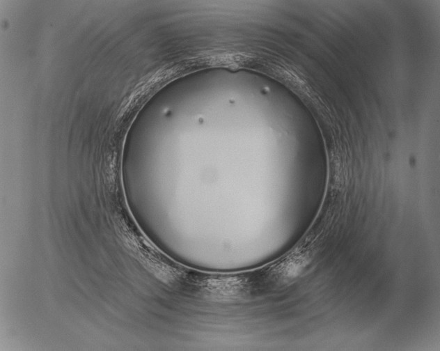 X0000056030357200509021828