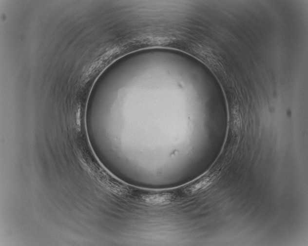 X0000056030358200509021828