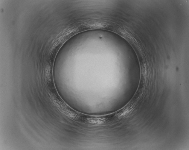 X0000056030359200509021828