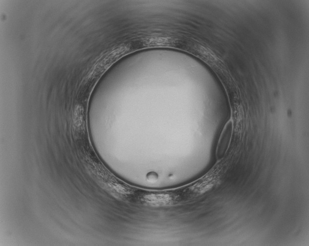 X0000056030361200509021828