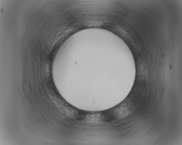 X0000056030362200509021828