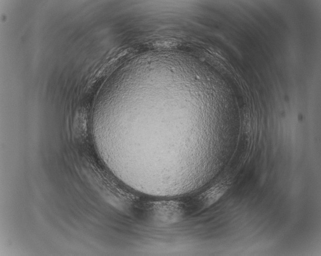 X0000056030363200509021828