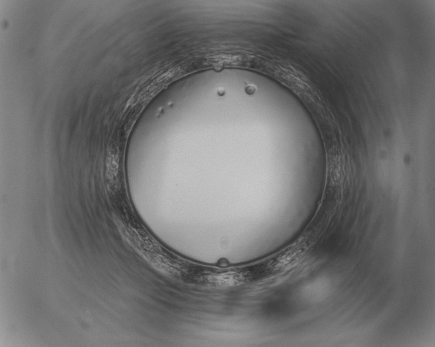 X0000056030365200509021828