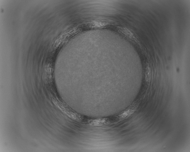 X0000056030366200509021828