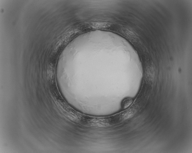 X0000056030367200509021828