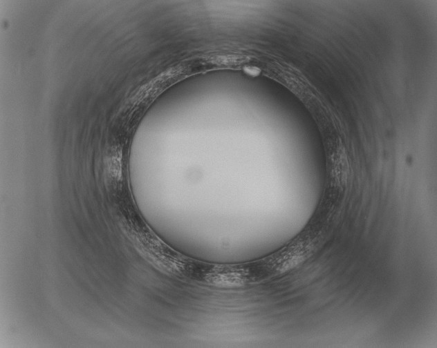 X0000056030368200509021828