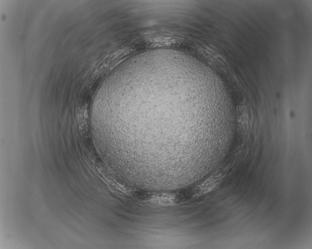 X0000056030369200509021828