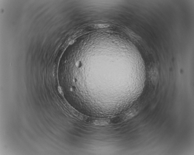 X0000056030373200509021828