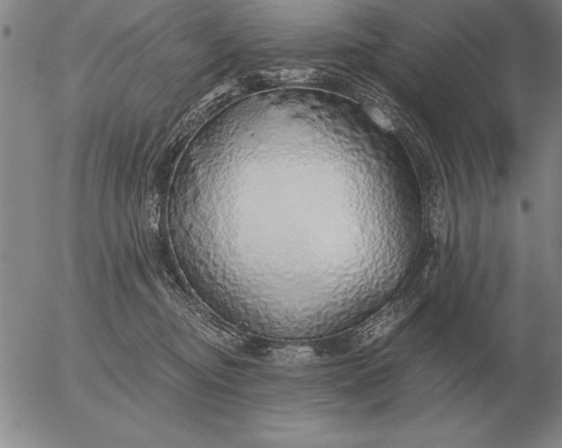 X0000056030374200509021828