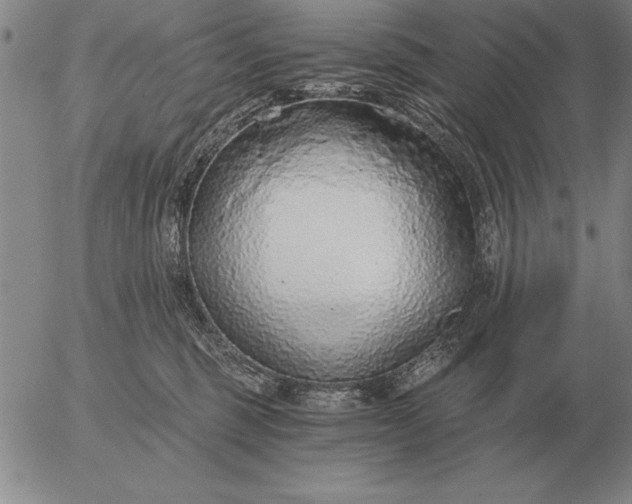 X0000056030375200509021828