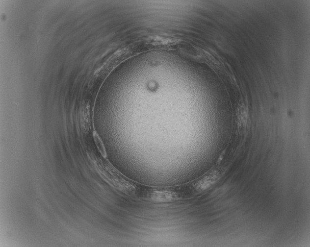 X0000056030376200509021828