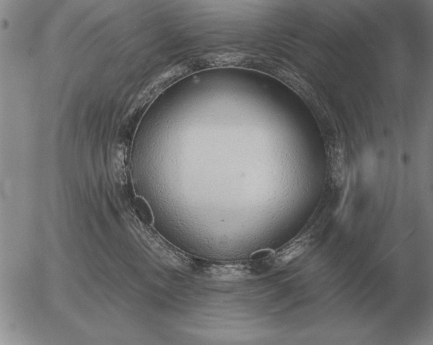 X0000056030378200509021828