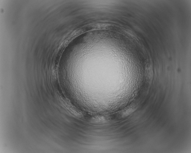 X0000056030381200509021828