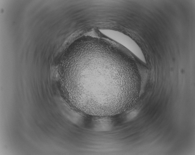 X0000056030383200509021828