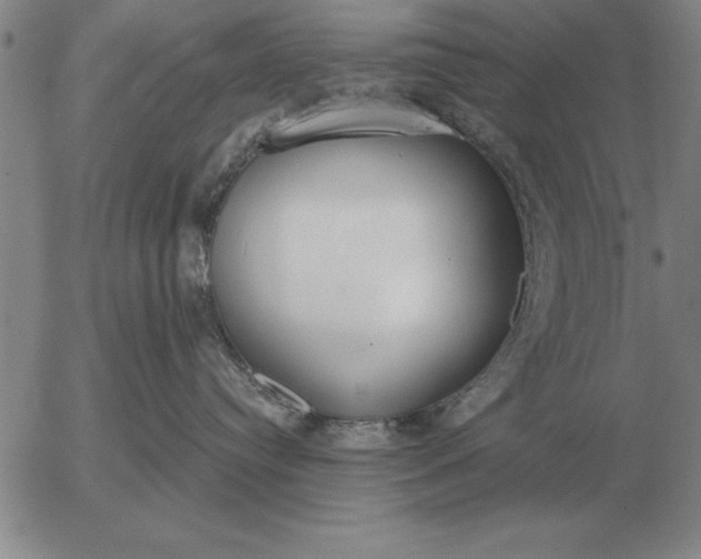 X0000056030384200509021828