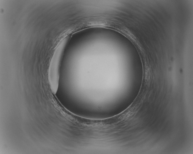 X0000056030385200509021827