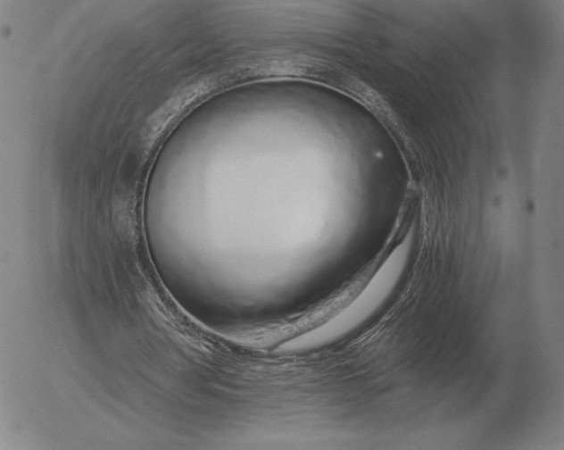 X0000056030386200509021827