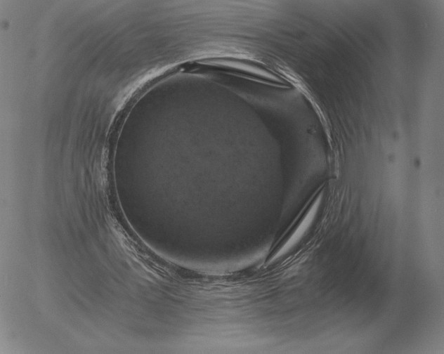 X0000056030387200509021827