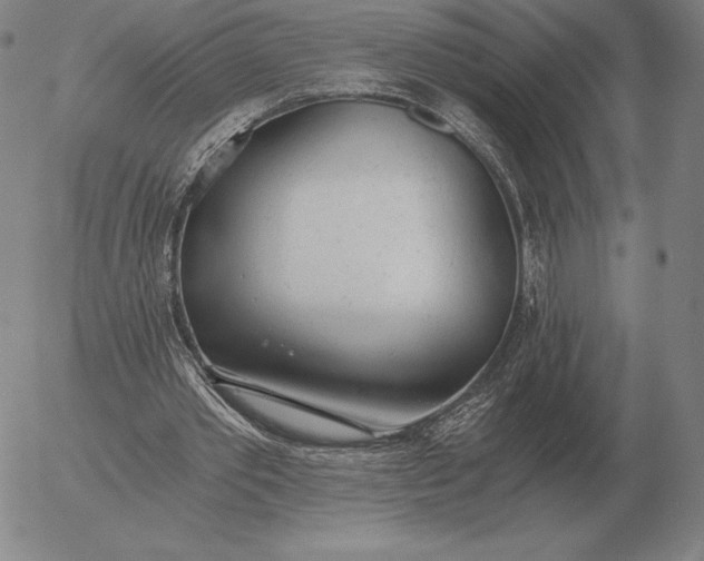 X0000056030389200509021827