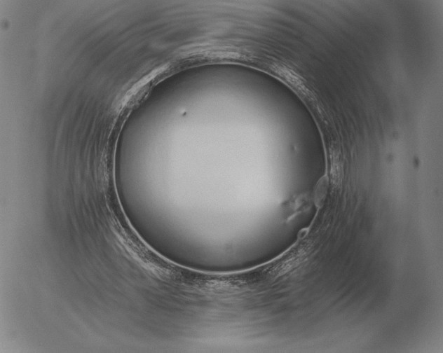 X0000056030390200509021827