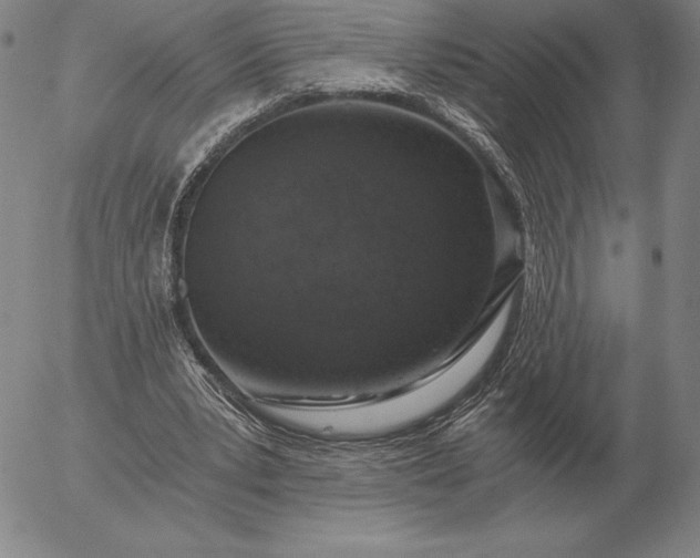 X0000056030391200509021827