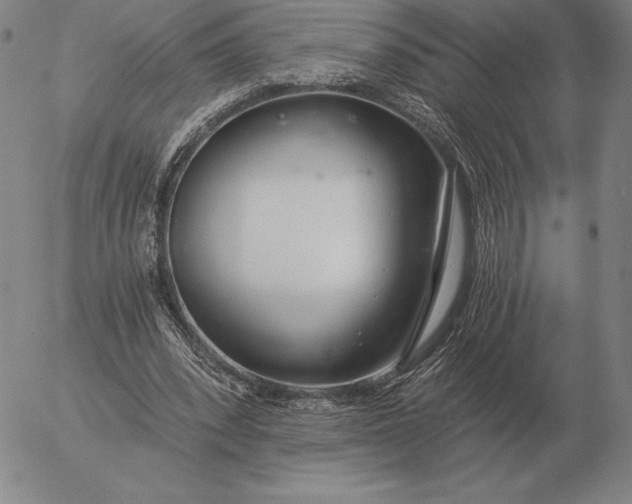 X0000056030392200509021827