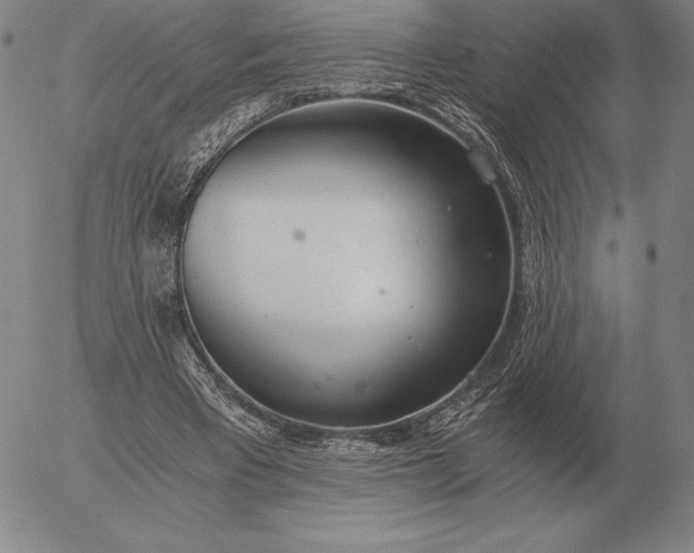 X0000056030393200509021827