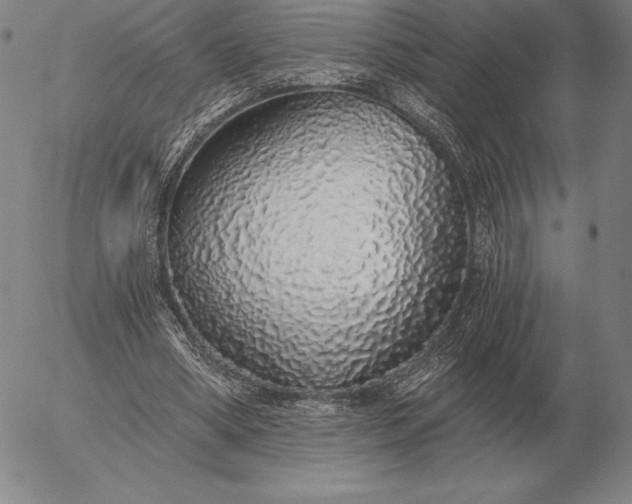 X0000056030394200509021827