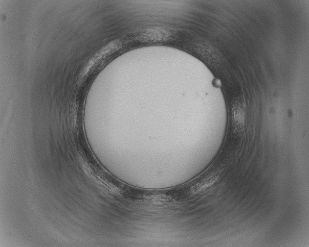 X0000056030396200509021827