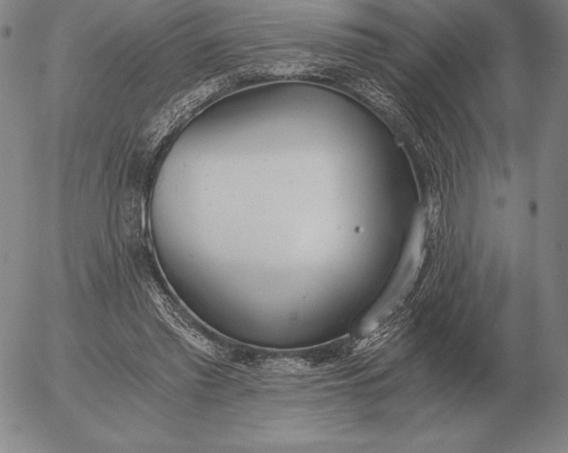 X0000056030397200509021827