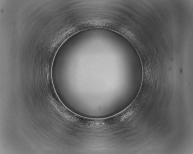 X0000056030398200509021827