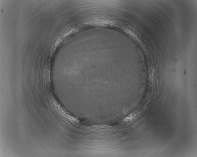 X0000056030399200509021827