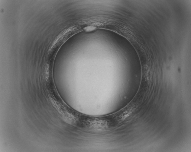 X0000056030400200509021827