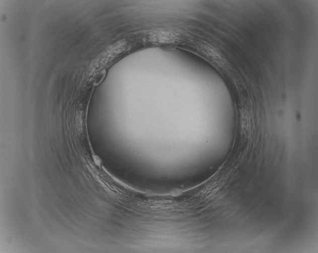 X0000056030401200509021827