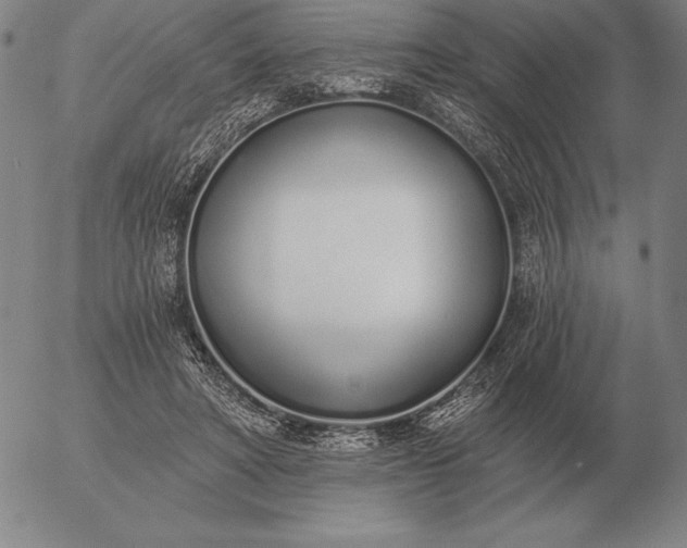 X0000056030402200509021827